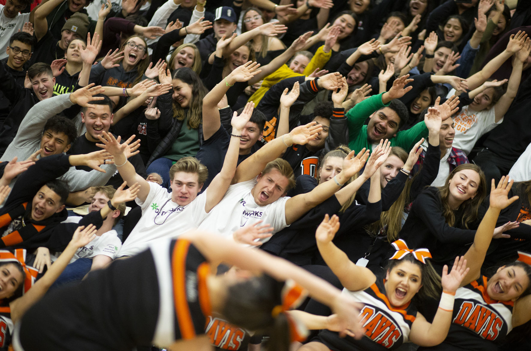 Davis basketball
